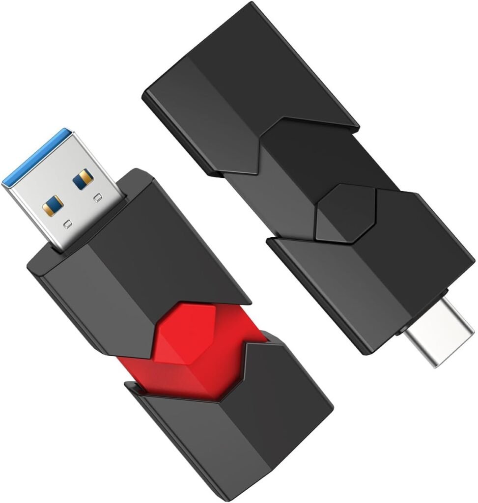 RAOYI 256GB USB C Flash Drive 2 in 1 Type C + USB 3.0 Flash Drive Dual OTG Retractable Type-C Thumb Drive Portable USB-C Memory Stick for iPhone 15 iPad Pro Android Smartphone Tablet PC (Black)
