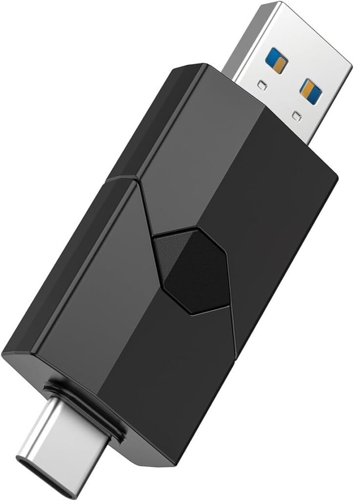 RAOYI 256GB USB C Flash Drive 2 in 1 Type C + USB 3.0 Flash Drive Dual OTG Retractable Type-C Thumb Drive Portable USB-C Memory Stick for iPhone 15 iPad Pro Android Smartphone Tablet PC (Black)